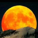 모아보청기 이미지