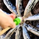 여천세차장 이미지