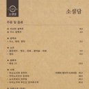 소설담