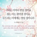 Worth 티스토리