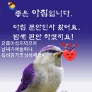 11월23일(화요일)간추린뉴스 및 날씨,운세 이미지