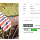 스타일나개 이미지