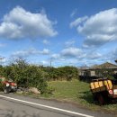 지꺼지게 귀덕 이미지