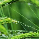 동그마니 이미지