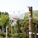 슬기로운 펜션 이미지