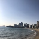 미니스톱 대전문화점 | 부산 여행 2편 🌊