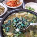 원주올갱이해장국
