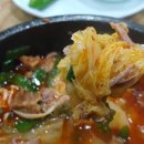 속초맛자랑