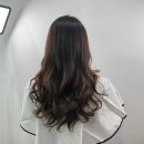 모스트헤어 이미지