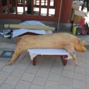 온천비각 이미지