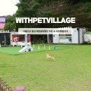 자연속의 펫 이미지