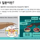 천안동물의료센터 24시 이미지