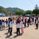 동로초등학교 이미지