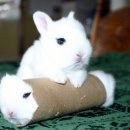 신데렐라카페 이미지