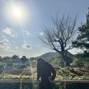 황금소나무농원 | 오사카 교토 3박4일 가족여행 3-4일차