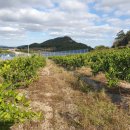 일남농장 이미지