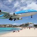 공항 Daum카페