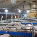 만지원농장 이미지