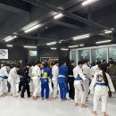 칼슨그레이시 코리아 이미지