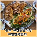 충주 켄싱턴리조트 비내섬 인근 애견동반식당 메밀면묵밥리(실내동반)