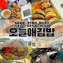 오늘애김밥고림점 | 용인 김밥 맛집 오늘애김밥 키토김밥 참치김밥 포장 용인고림점 추천