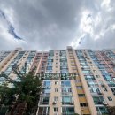 압구정-127 이미지