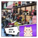 퍼피커뮤니케이션 이미지