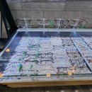 글라스타 세교점 이미지