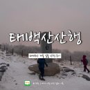 등린이의 태백산 겨울 일출 산행 후기 준비물