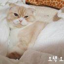 두류동물병원 이미지