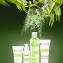 올리브영(복합) 이미지