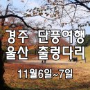 [클릭하세요] 절정의 가을로 치닫는 천년고도 경주 단풍여행! + 울산 대왕암공원 출렁다리 이미지