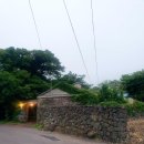 풍경좋은돌담집펜션 | 제주 애월 독채 펜션 돌담집 감성 숙소 스테이유