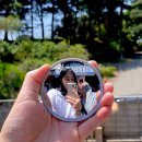 고양아, 안녕? 네이버블로그