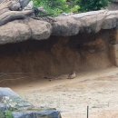 챔피온타워 이미지