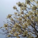 곤양축구장 이미지