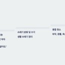 드리안소파