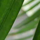 본내과의원 이미지