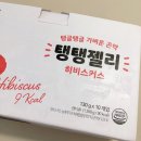 2018-02-0265 | 윙잇 히비스커스 탱탱젤리 곤약젤리 추천 할인코드