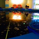 뚜루실내낚시 이미지