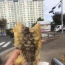 쁜네일