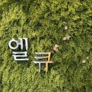 비젼타워빌딩 | [안양시 동안구] 엘큐카페 - 공부하기 편안한 예쁜카페 / 범계역 디저트도 맛있는 곳