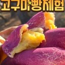 청사4길 이미지