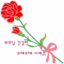 Parents' Day(어버이날!) 이미지