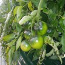 푸른산농장 이미지