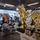 머슬바디짐 이미지