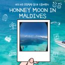 코코픽스 | 몰디브 신혼여행기 DAY 3 - 싱가포르에서 몰디브가는 날(두바이픽스초콜릿/몰디브 비행기/코코보두히티)