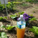 액비골(2) 이미지