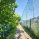 다산진건 체육공원 2호[다산1-3] | 남양주 진건공공하수처리시설 테니스코트 이용 후기🎾 (공공테니스장, 주차)