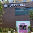 퍼피힐(PUPPY HILL) 이미지